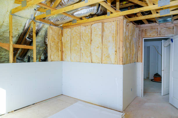 Best DIY Insulation Kits and Guidance in Oakleaf Plantation, FL