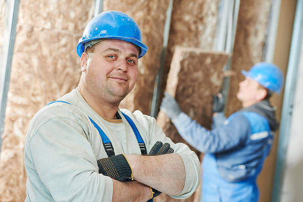 Best Cellulose Insulation in Oakleaf Plantation, FL