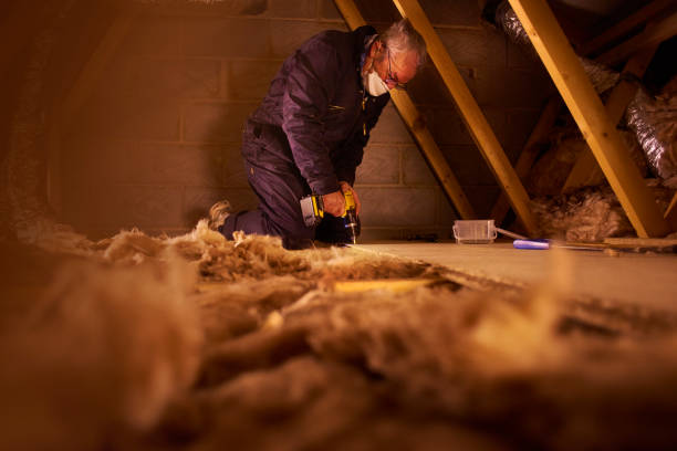 Best DIY Insulation Kits and Guidance in Oakleaf Plantation, FL